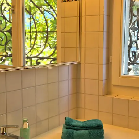 Seefront In - Maggiore, Ticino