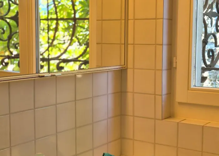 Seefront In - Maggiore, Ticino